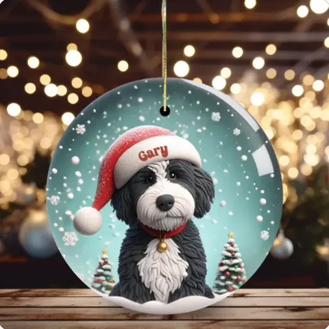 Clay-look Bernedoodle ornament in a teal snow scene, personalized Gary