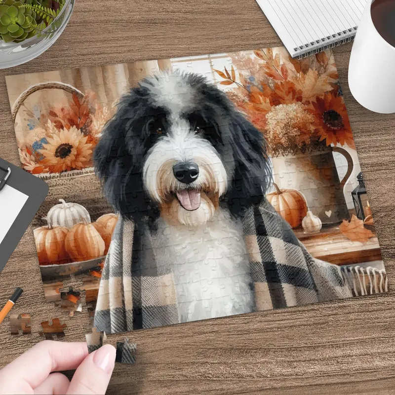 Jigsaw puzzle of a Bernedoodle wrapped in a plaid blanket among pumpkins and sunflowers